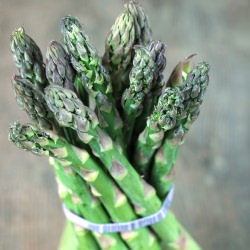 Asparagus in prosciutto