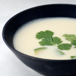 Avocado Vichyssoise