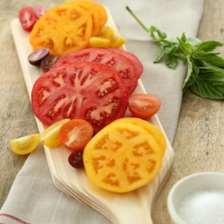 Heirloom Tomato Tasting