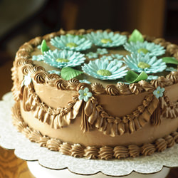 Gerber Daisy Cake