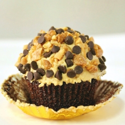 Chocolate Pb Cupcake