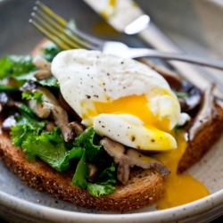 Wilted Greens & Mushroom Toasts