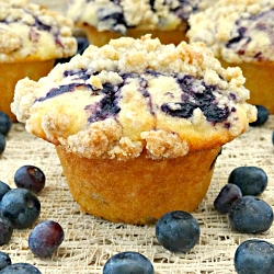 Blueberry Swirl Muffins