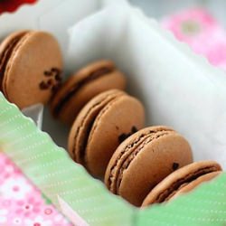 Chocolate Coffee Macarons