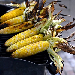 Grilled Corn Pico de Gallo