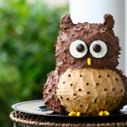 DIY Owl Cake