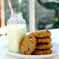 Chocolate Pecan Salty Oat Cookie