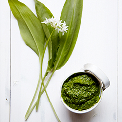 Wild Garlic Pesto