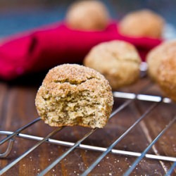 Snickerdoodle Cookie Balls (GF)