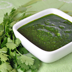 Rick Bayless’ Mexican Chimichurri