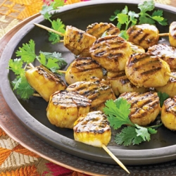 Grilled Scallops