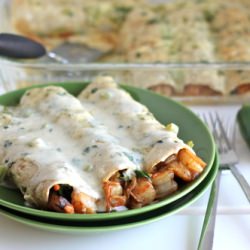 Roasted Shrimp Enchiladas