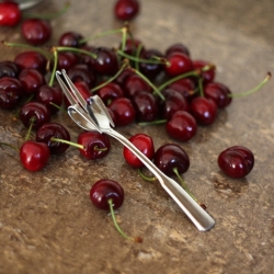 Homemade Cherry Pitter