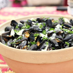 Mussels