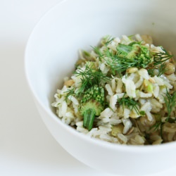 Herbed Rice and Sprouts