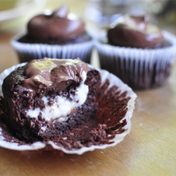 Chocolate Cupcakes with Vanilla