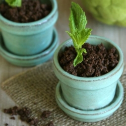 Chocolate Pudding Pots