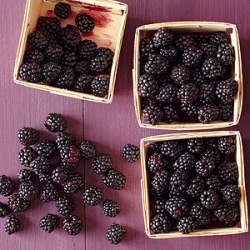 Blackberries Are In Season