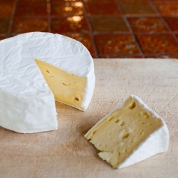 Camembert