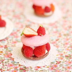 strawberry dessert macaron