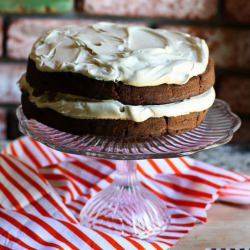 Vegan Double Chocolate Cake