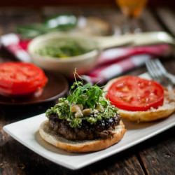 Bison-Apple Burgers