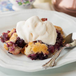 Blackberry Cobbler