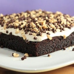 Chocolate-Peanut Butter Fun Cake