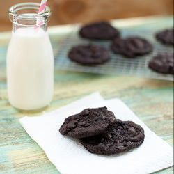 Chocolate Peanut Butter Cookies