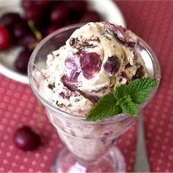 Chocolate-Cherry Vanilla Ice Cream