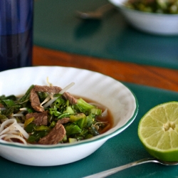 Asian Beef Noodle Soup