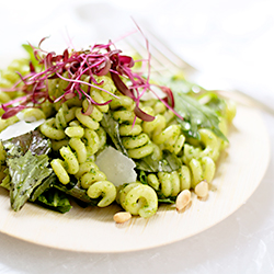 Farmers’ Market Pasta Salad