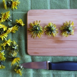 Deep-fried Dandelions