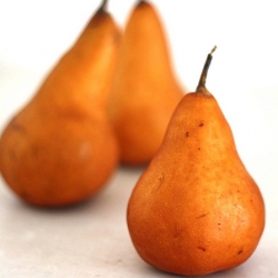 Pears