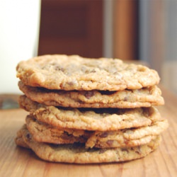 Chewy Chocolate Chip Cookies