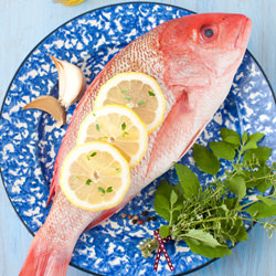 Roasted Whole Red Snapper