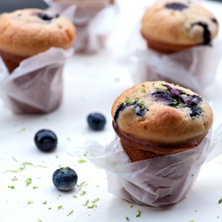 Vanilla Blueberry Muffin