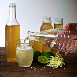 Elderflower and Lime Cordial