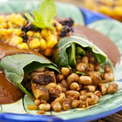 Healthy Enchiladas w/ Mole & Mango