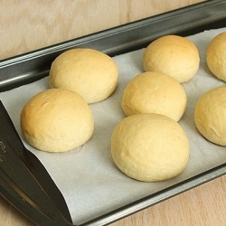 Honey Wheat Sandwich Rolls