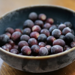 Frozen Grapes