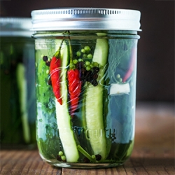 Quick Dill Pickles