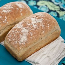 Seed Bread