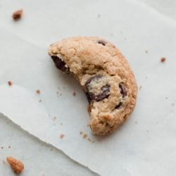 36 Hour Chocolate chip Cookie – GF