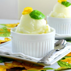 Lemon and Basil Sorbet