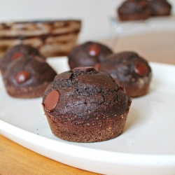 Chocolate Espresso Muffins