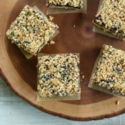 No-Bake Blueberry Almond Oat Bars