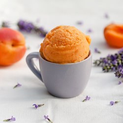 Apricot Lavender Sorbet