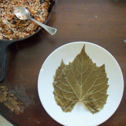 Lentil & Rice Stuffed Grape Leaves