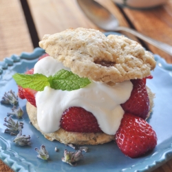 Lavender Strawberry Shortcake